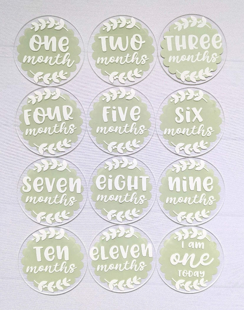 Baby Milestone Discs